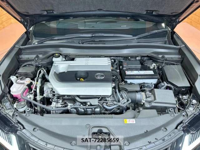 Lexus UX 2021-07 218138-18