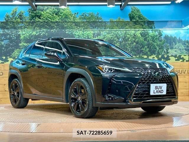 Lexus UX 2021-07 218138-16