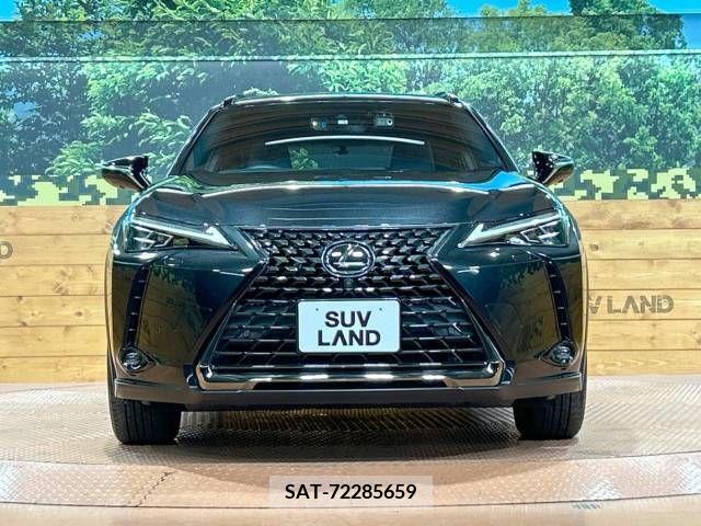 Lexus UX 2021-07 218138-14
