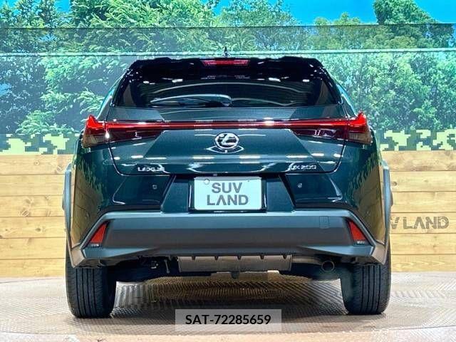 Lexus UX 2021-07 218138-15