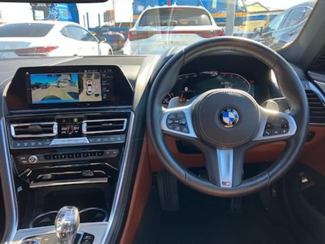 Bmw 8 SERIES 2019-11 183089-10