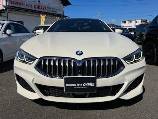 Bmw 8 SERIES 2019-11 183089-1