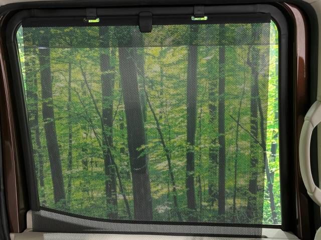 Nissan DAYZ ROOX 2014-08 20449-7