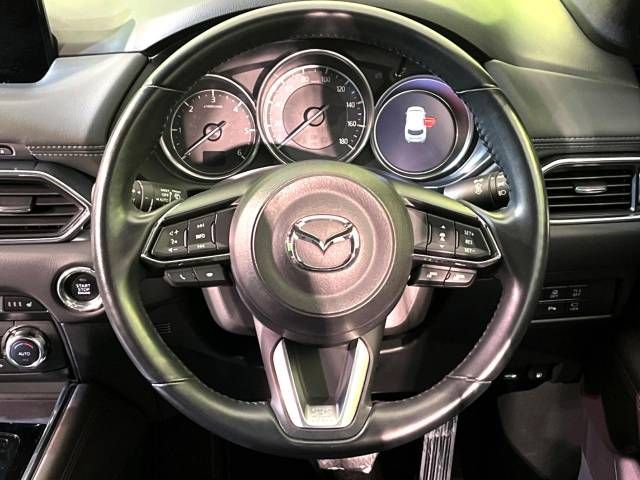Mazda CX-8 2018-01 194941-11