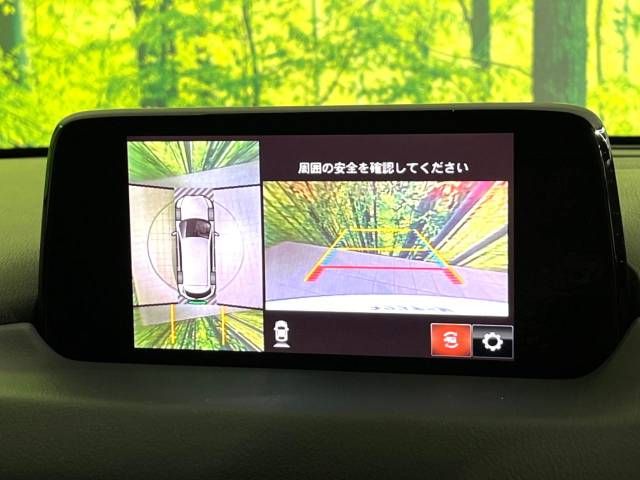 Mazda CX-8 2018-01 194941-4