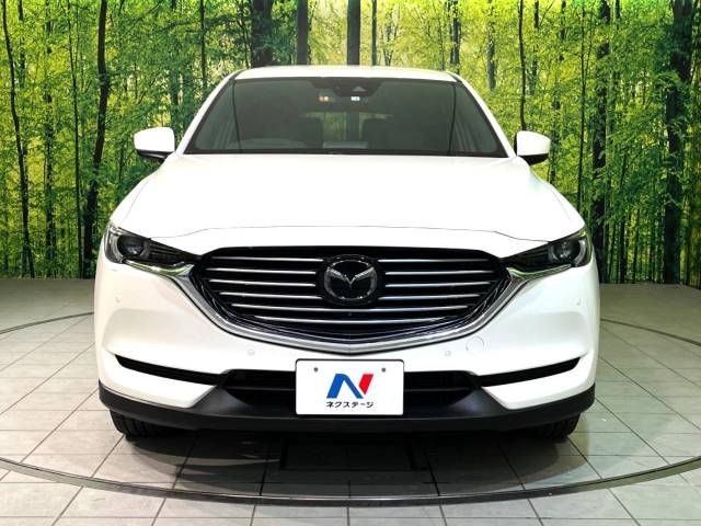 Mazda CX-8 2018-01 194941-14