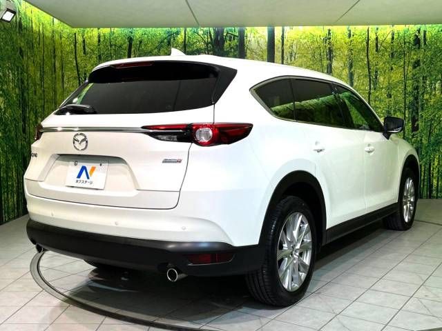 Mazda CX-8 2018-01 194941-17