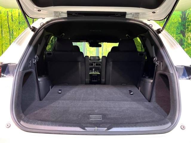 Mazda CX-8 2018-01 194941-10