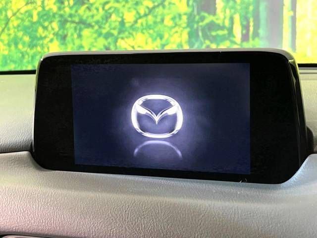 Mazda CX-8 2018-01 194941-3