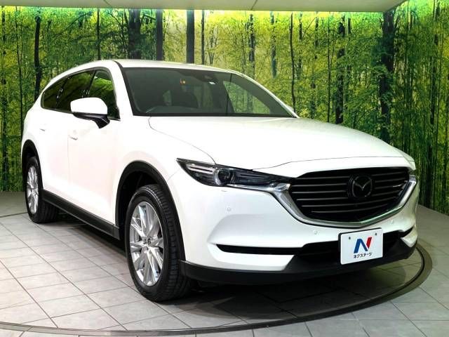 Mazda CX-8 2018-01 194941-16