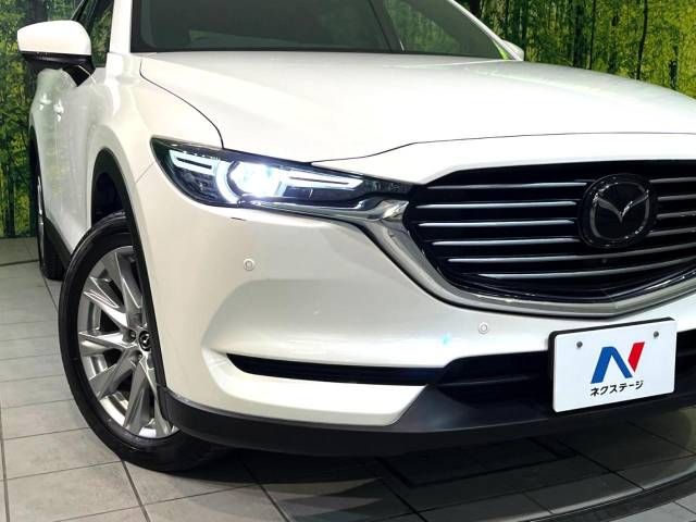 Mazda CX-8 2018-01 194941-12