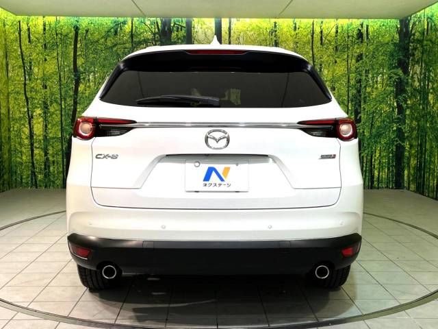 Mazda CX-8 2018-01 194941-15
