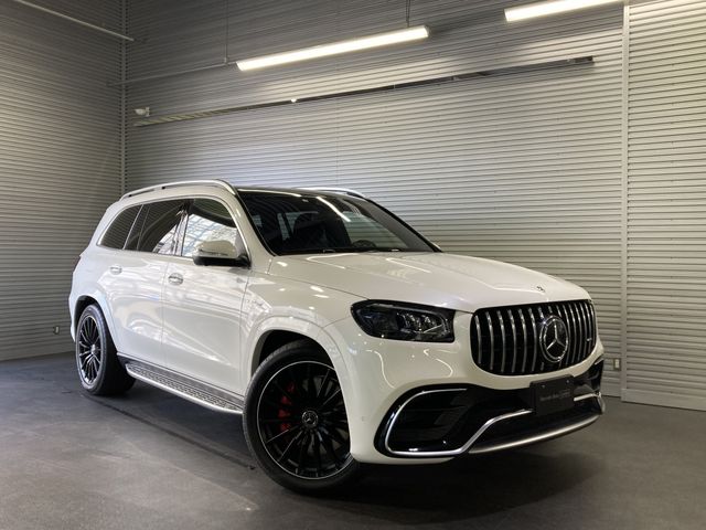Amg S-CLASS 2023-01 17221-0