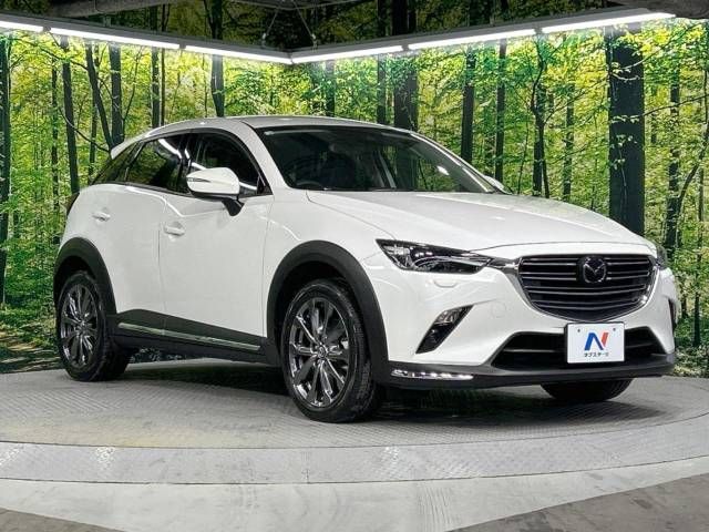 Mazda CX-3 2020-08 191806-15