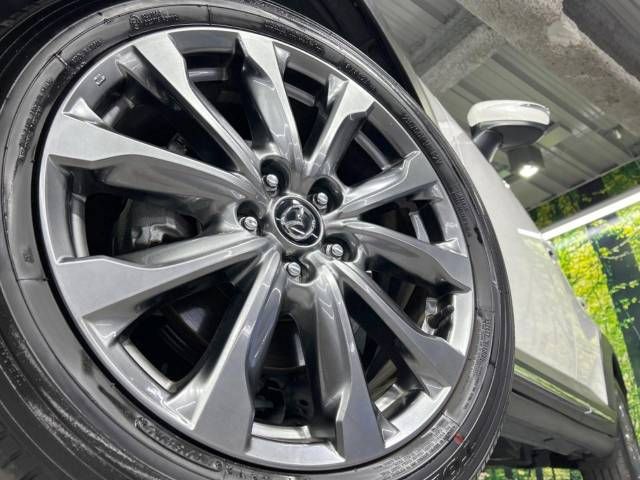 Mazda CX-3 2020-08 191806-12