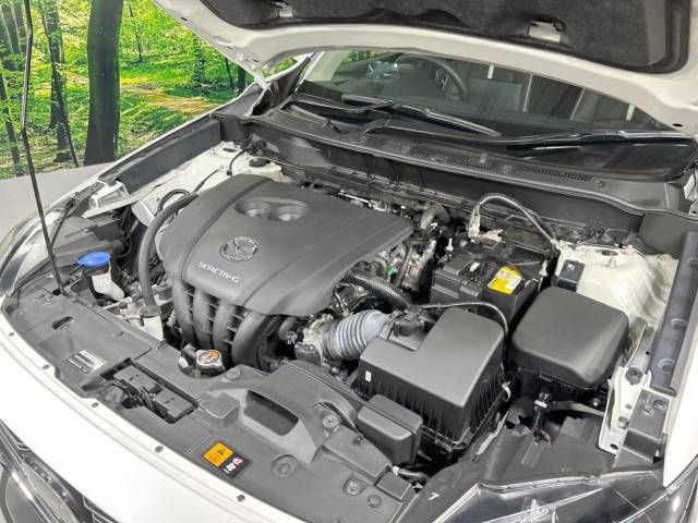 Mazda CX-3 2020-08 191806-18