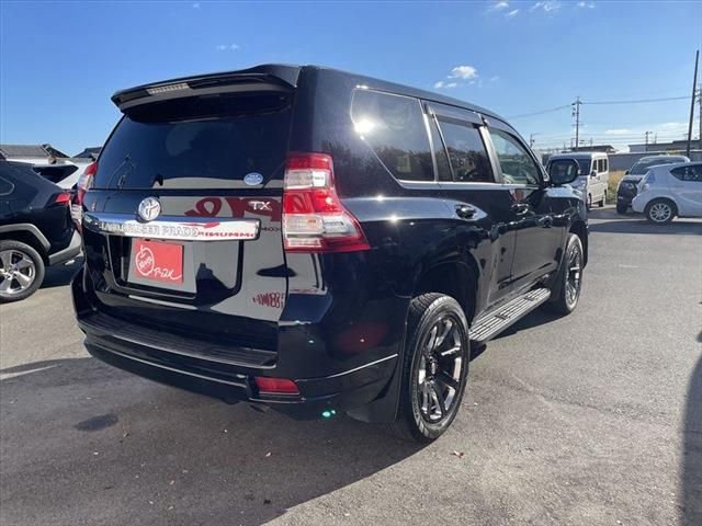 Toyota PRADO 2016-11 196770-4