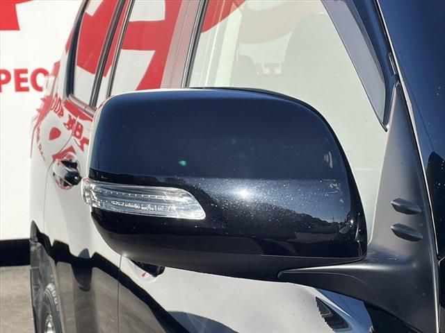 Toyota PRADO 2016-11 196770-13