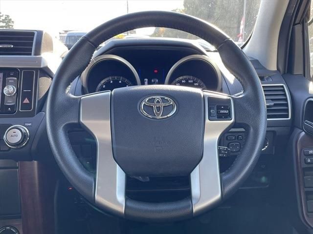 Toyota PRADO 2016-11 196770-24
