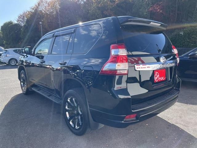 Toyota PRADO 2016-11 196770-6