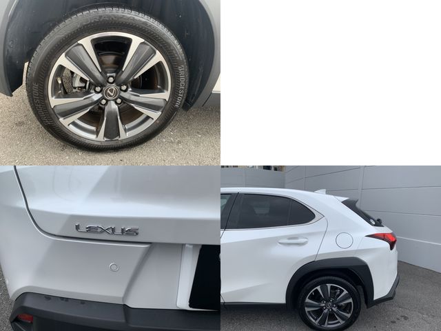 Lexus UX 2021-11 11025-3