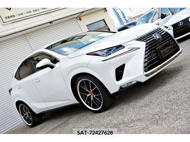 Lexus NX 2018-02 212044-11
