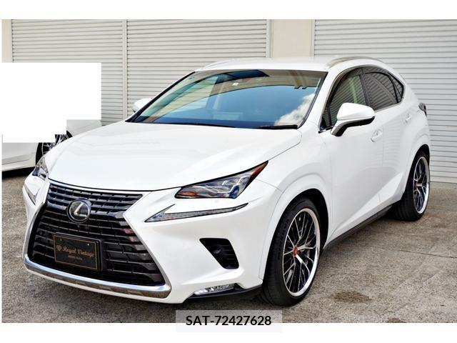 Lexus NX 2018-02 212044-15