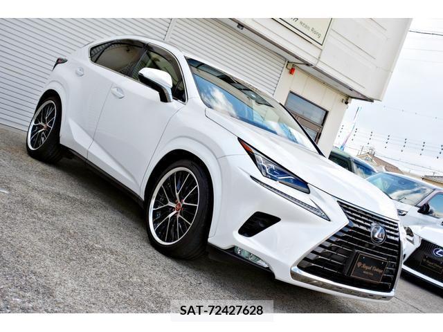 Lexus NX 2018-02 212044-10