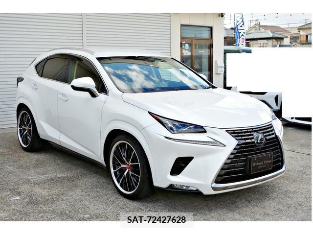 Lexus NX 2018-02 212044-6