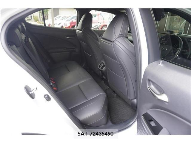 Lexus UX 2019-04 354123-13