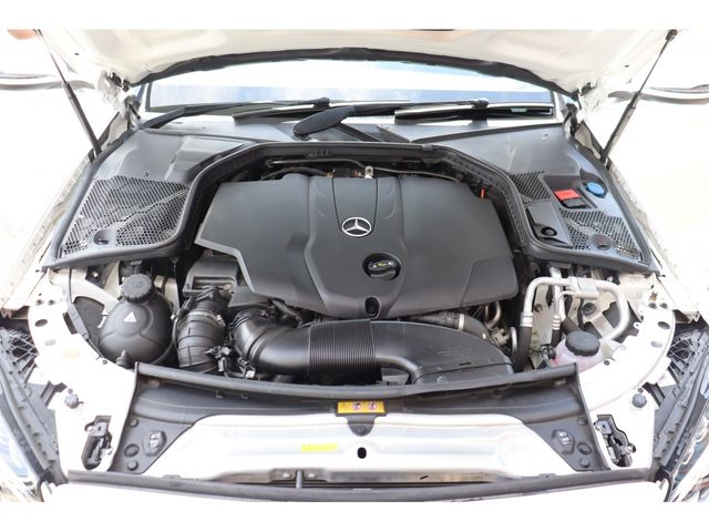 Mercedes Benz C-CLASS 2017-01 23971-24