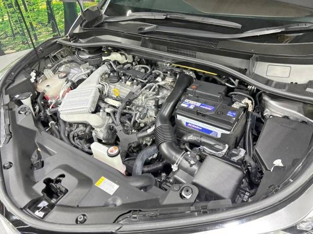 Toyota C-HR 2017-06 29147-19