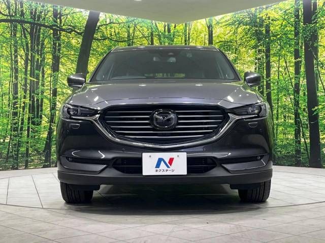 Mazda CX-8 2018-03 27268-14