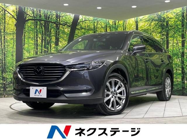 Mazda CX-8 2018-03 27268-0