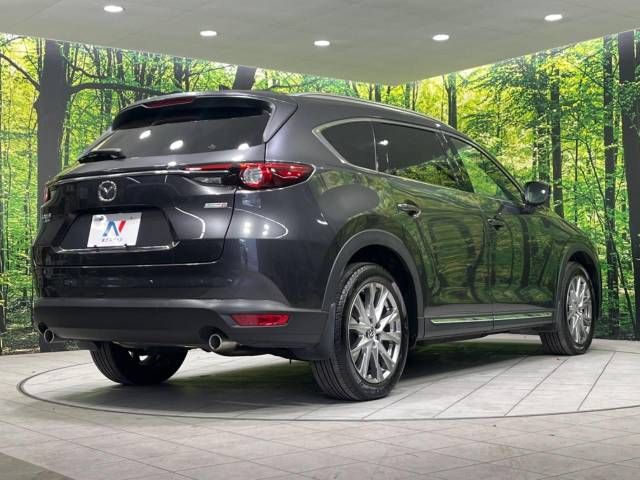 Mazda CX-8 2018-03 27268-17