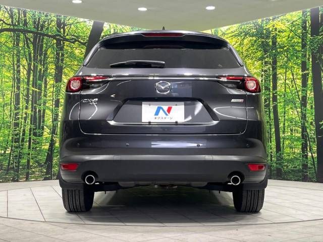 Mazda CX-8 2018-03 27268-15