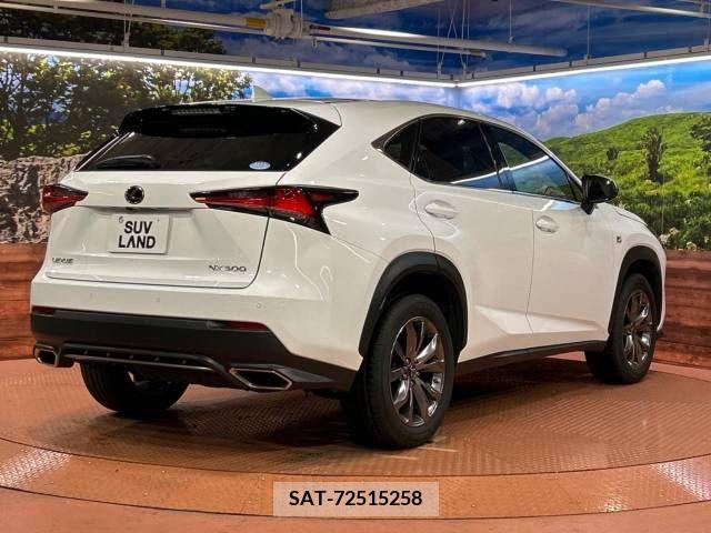 Lexus NX 2019-04 275684-17