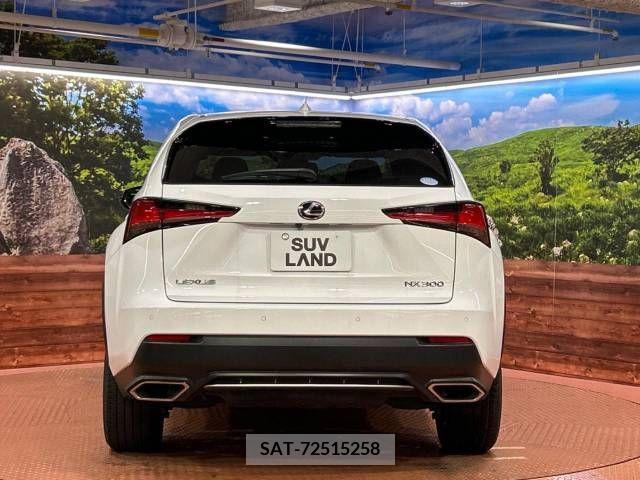Lexus NX 2019-04 275684-15