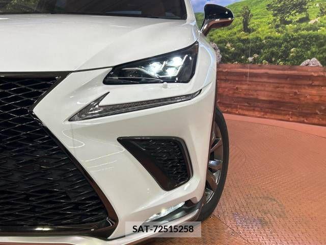 Lexus NX 2019-04 275684-11