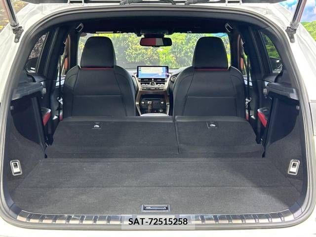 Lexus NX 2019-04 275684-10