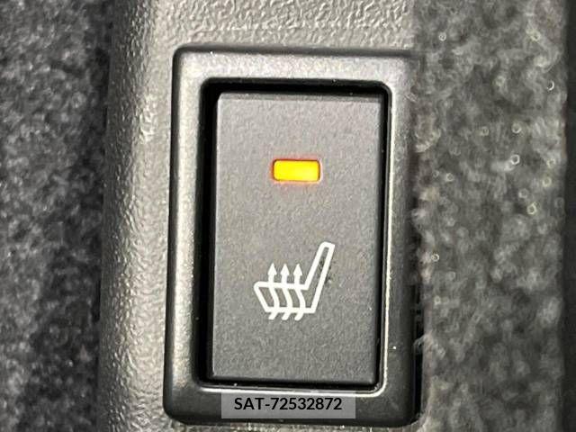 Suzuki X BEE 2021-10 241221-5