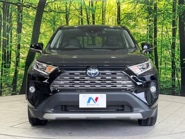 Toyota RAV4 2019-08 13352-14