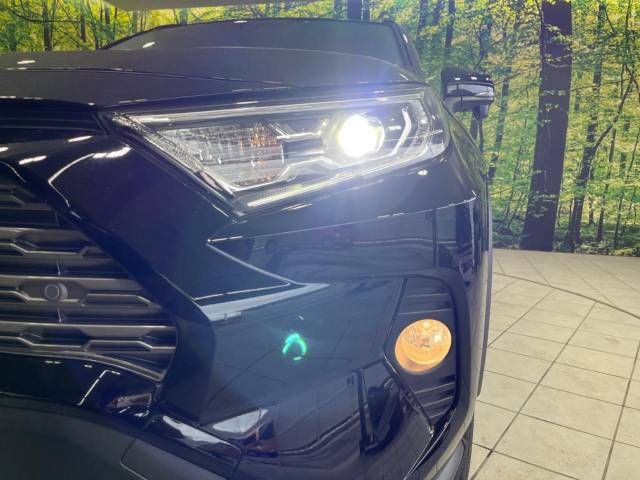 Toyota RAV4 2019-08 13352-12