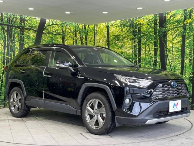 Toyota RAV4 2019-08 13352-16
