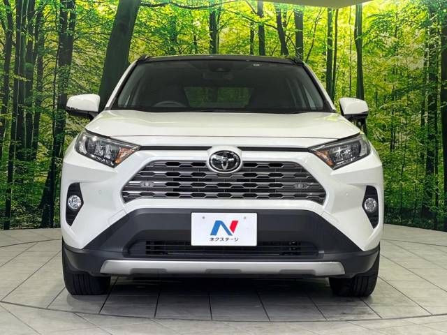 Toyota RAV4 2020-05 187293-14