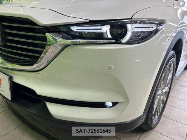 Mazda CX-8 2018-10 358785-13