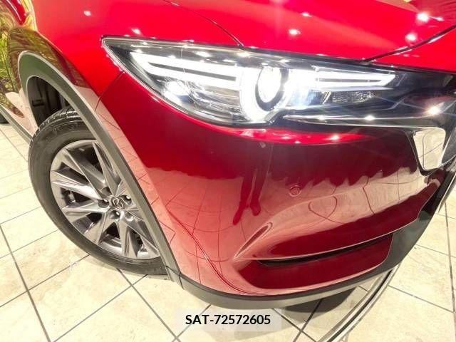 Mazda CX-8 2019-09 308573-12