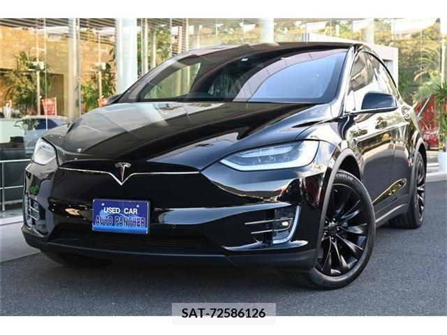 Tesla MODEL X 2019-01 256508-0