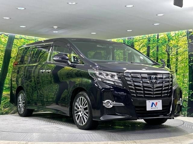 Toyota ALPHARD 2016-09 13718-17