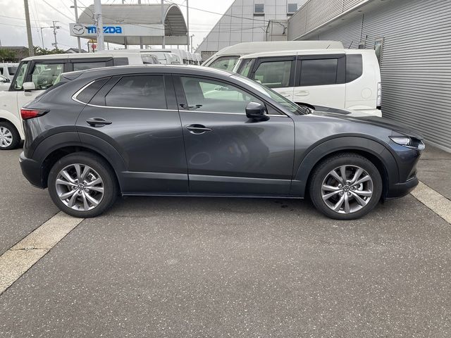 Mazda CX-30 2021-01 11609-5